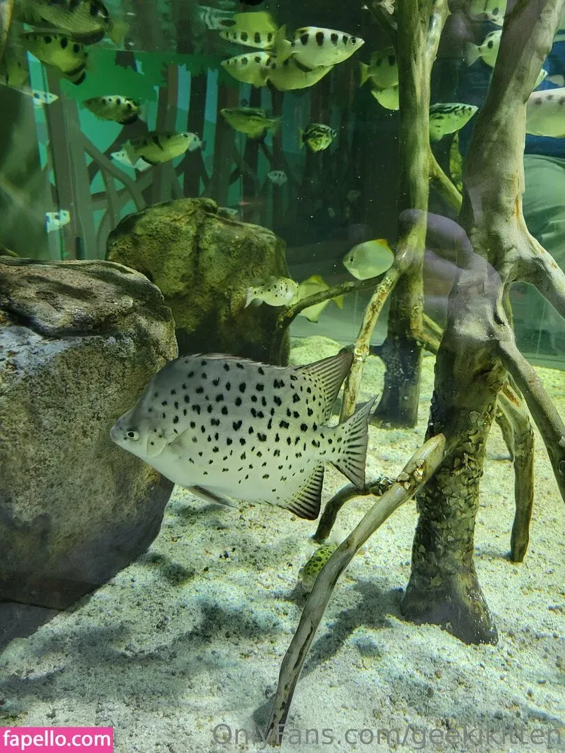 geekikitten Onlyfans Photo Gallery 