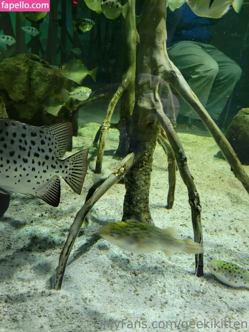 geekikitten Onlyfans Photo Gallery 