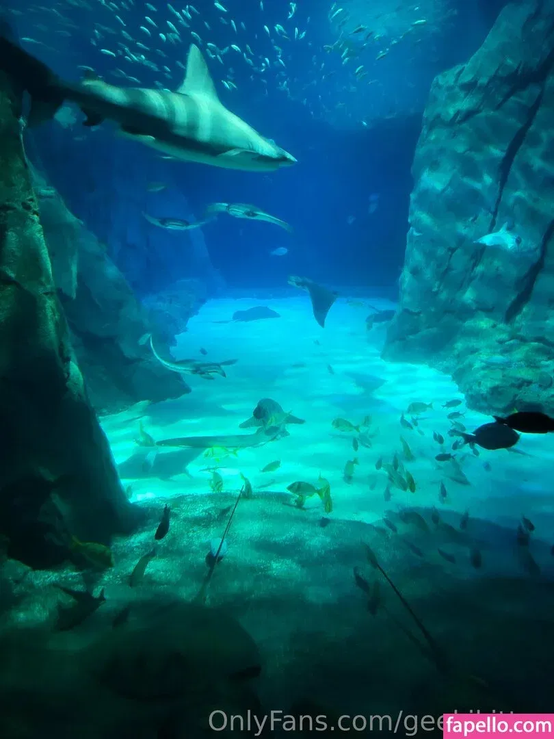 geekikitten Onlyfans Photo Gallery 