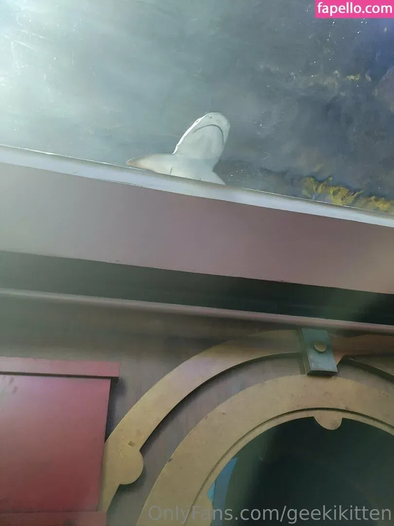 geekikitten Onlyfans Photo Gallery 