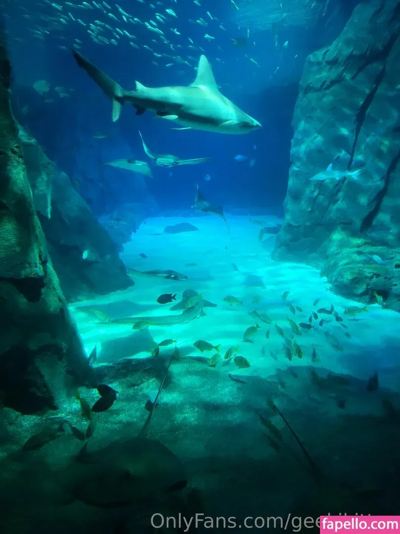 geekikitten Onlyfans Photo Gallery 