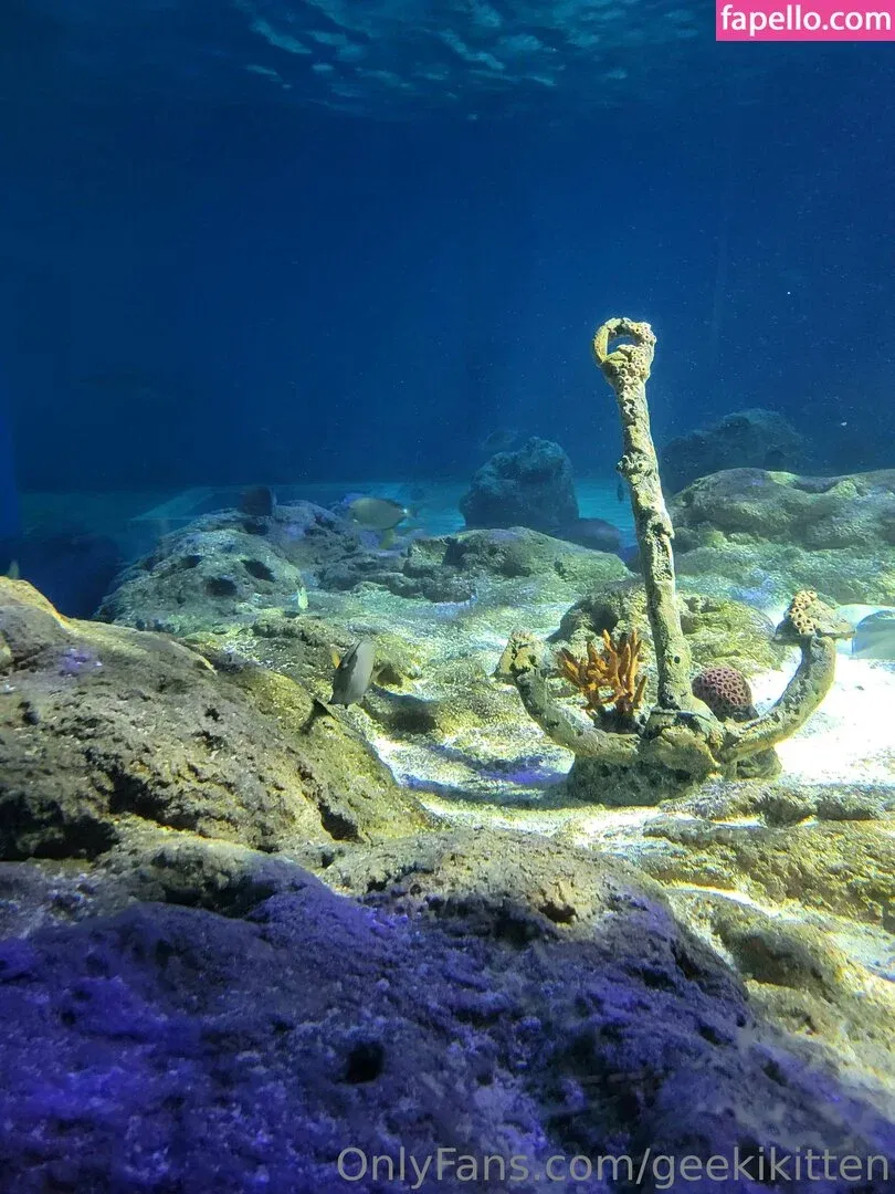 geekikitten Onlyfans Photo Gallery 