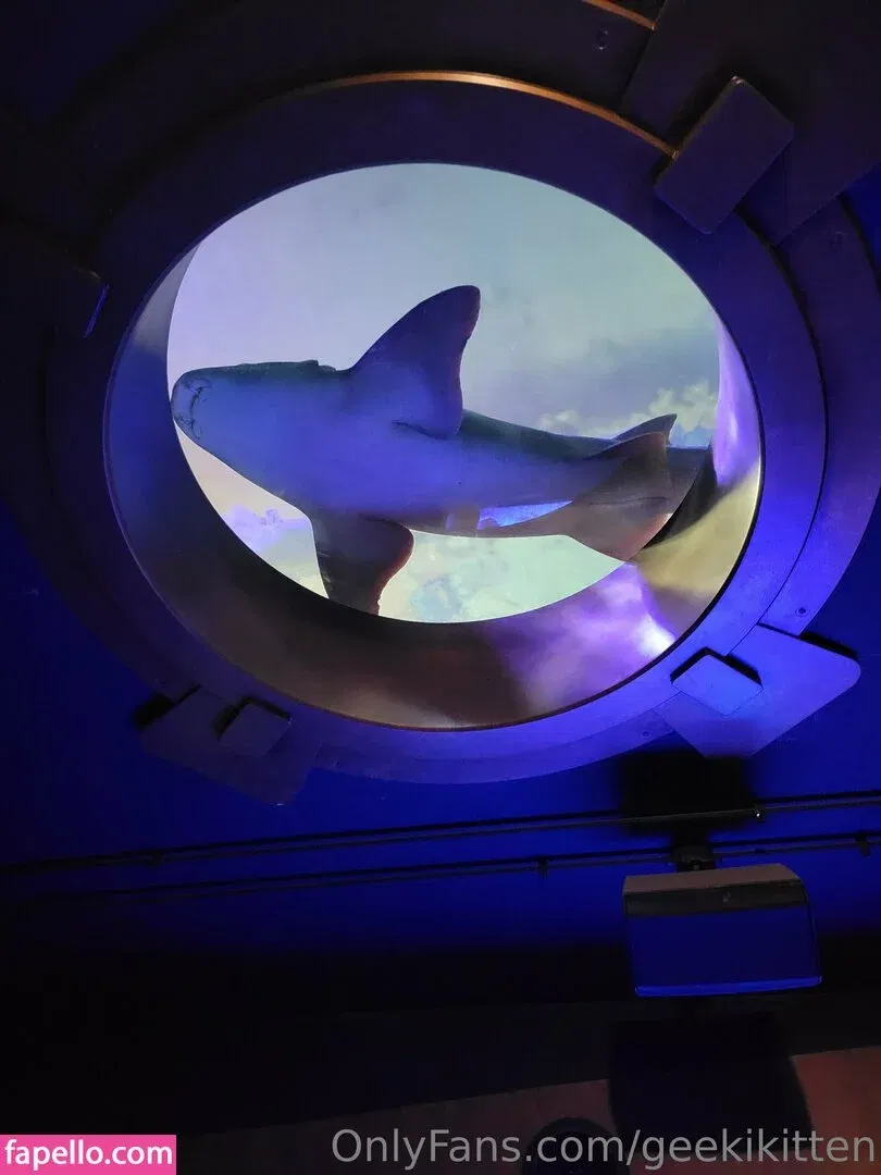 geekikitten Onlyfans Photo Gallery 