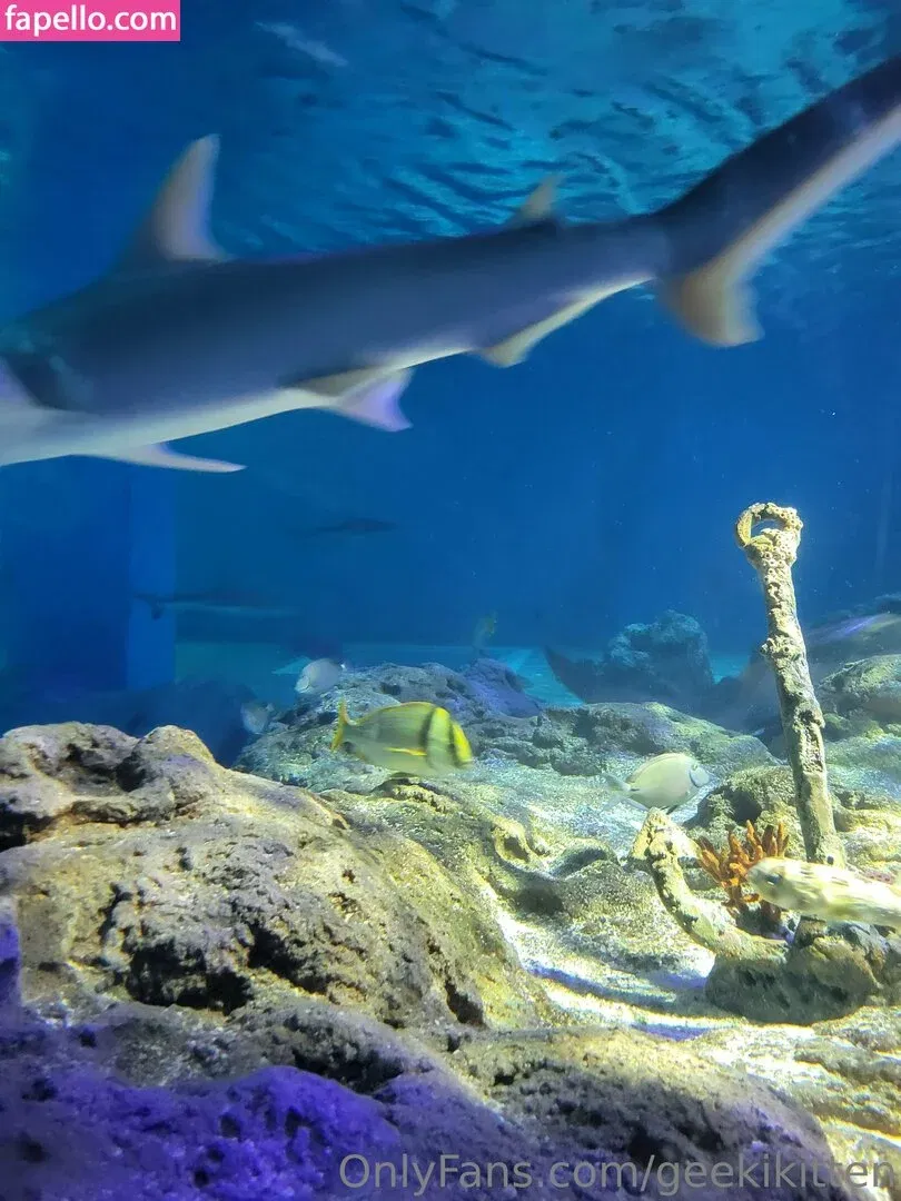 geekikitten Onlyfans Photo Gallery 