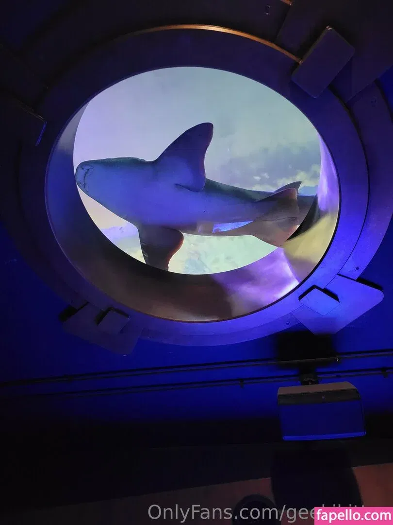 geekikitten Onlyfans Photo Gallery 