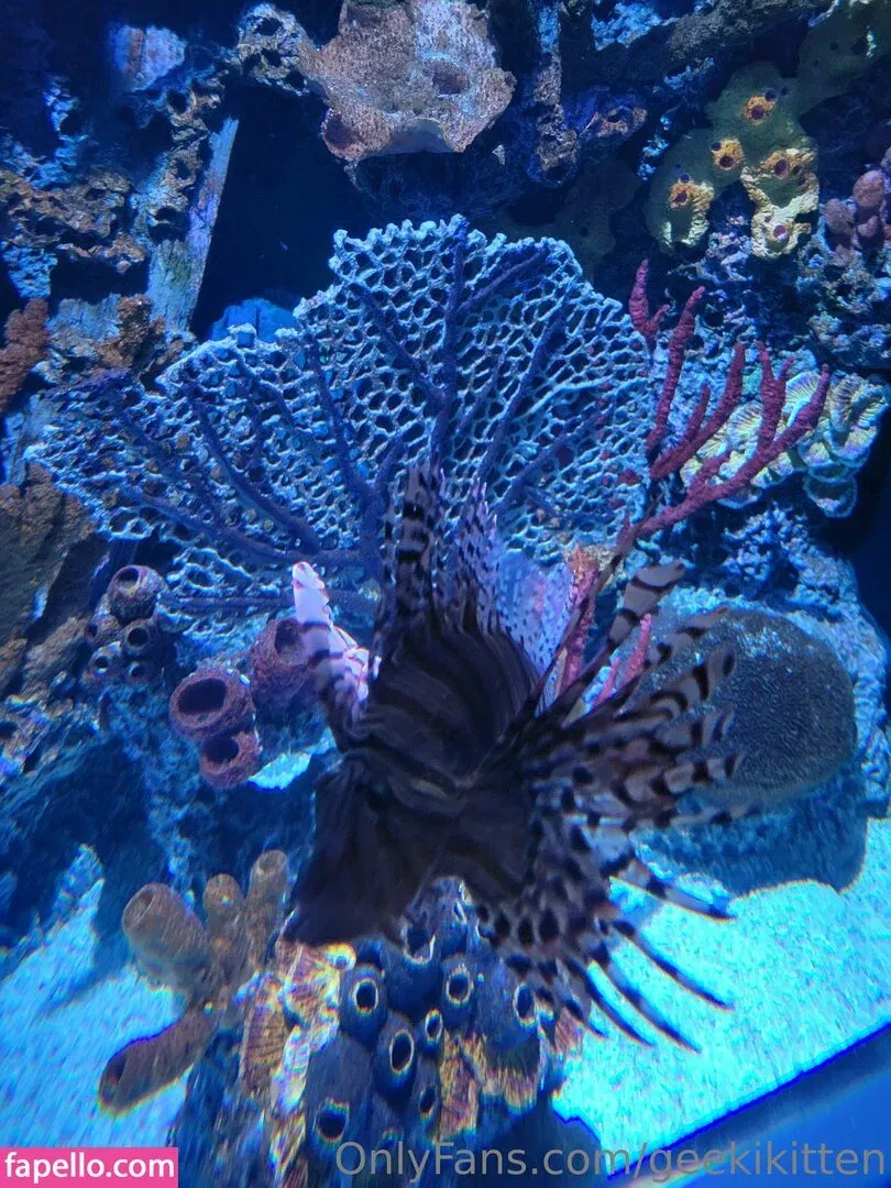 geekikitten Onlyfans Photo Gallery 