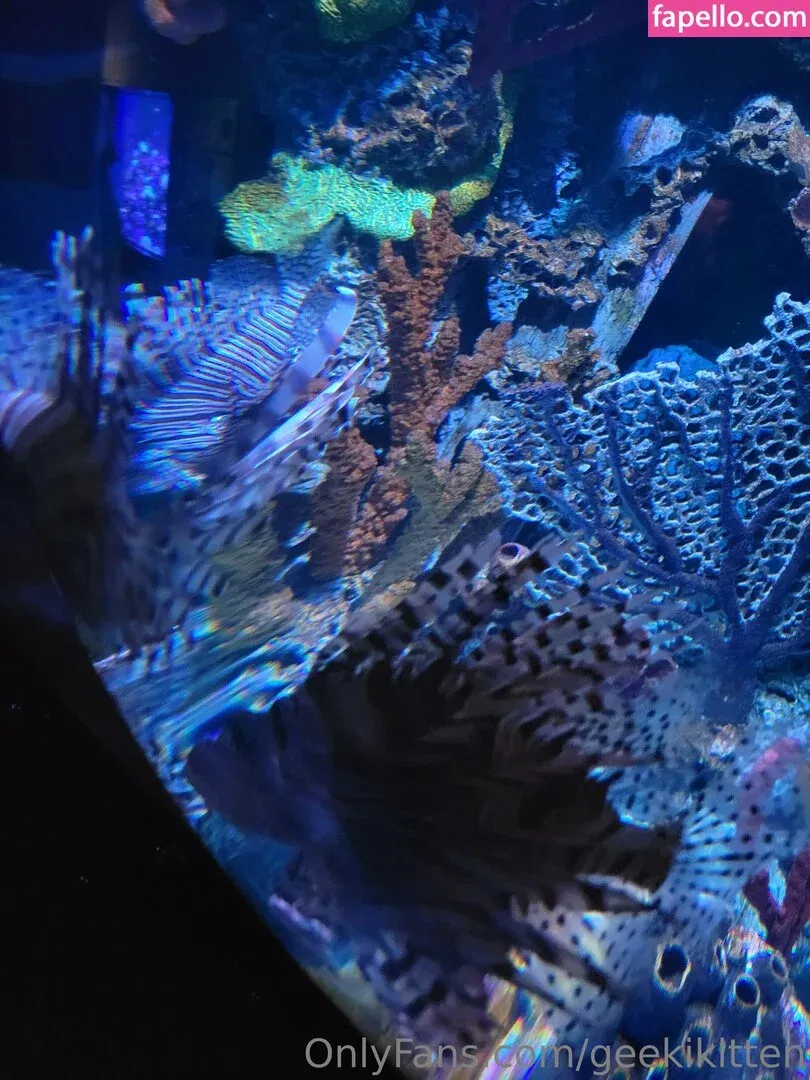 geekikitten Onlyfans Photo Gallery 