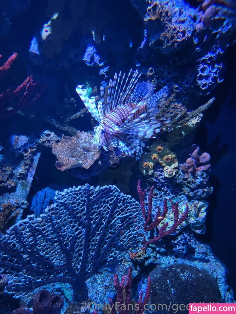 geekikitten Onlyfans Photo Gallery 