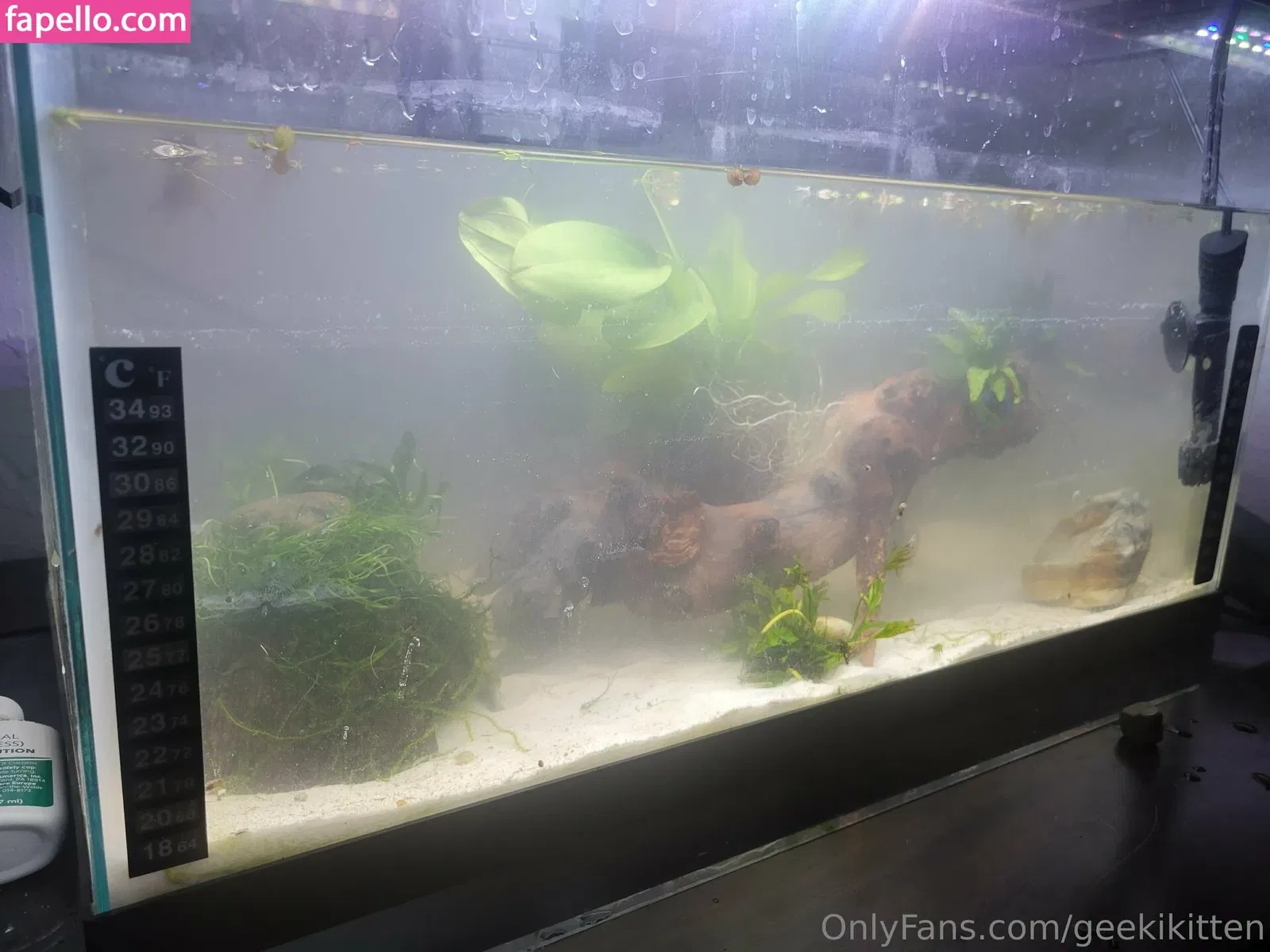 geekikitten Onlyfans Photo Gallery 