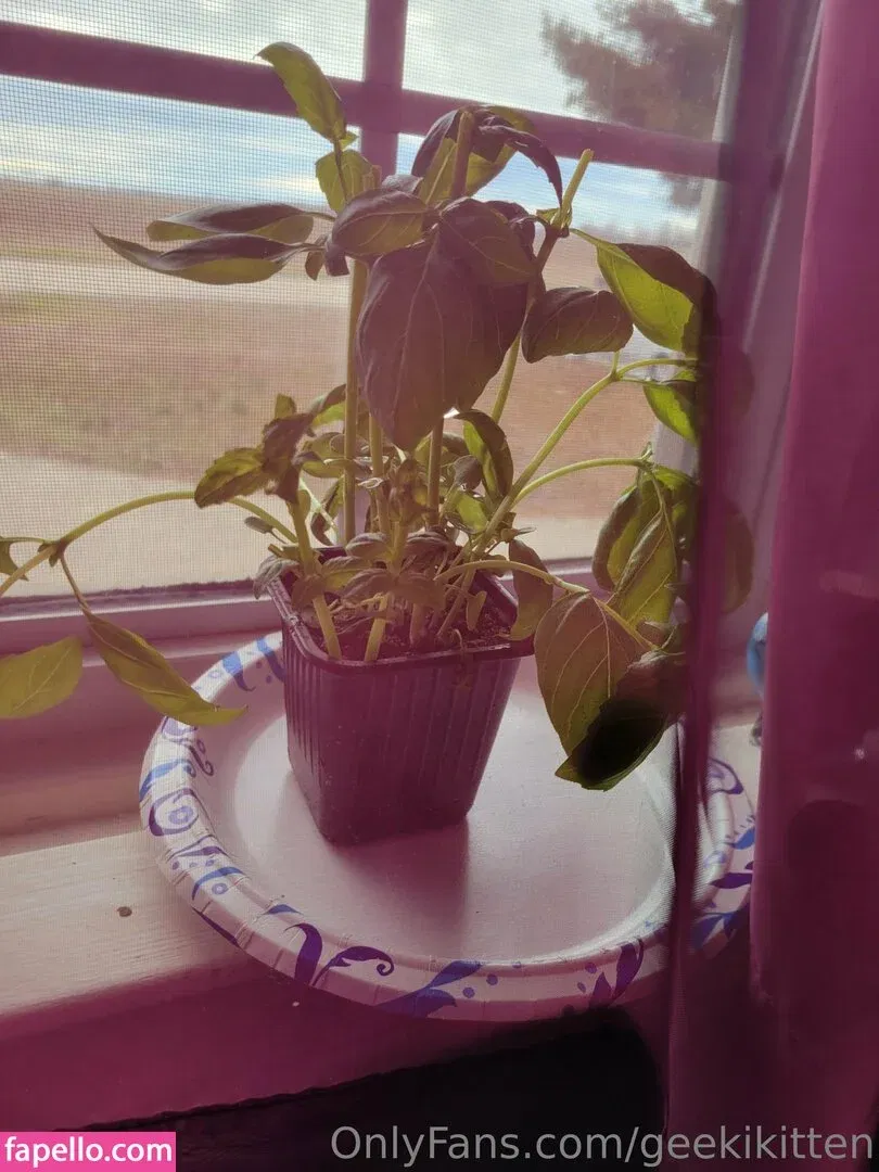geekikitten Onlyfans Photo Gallery 