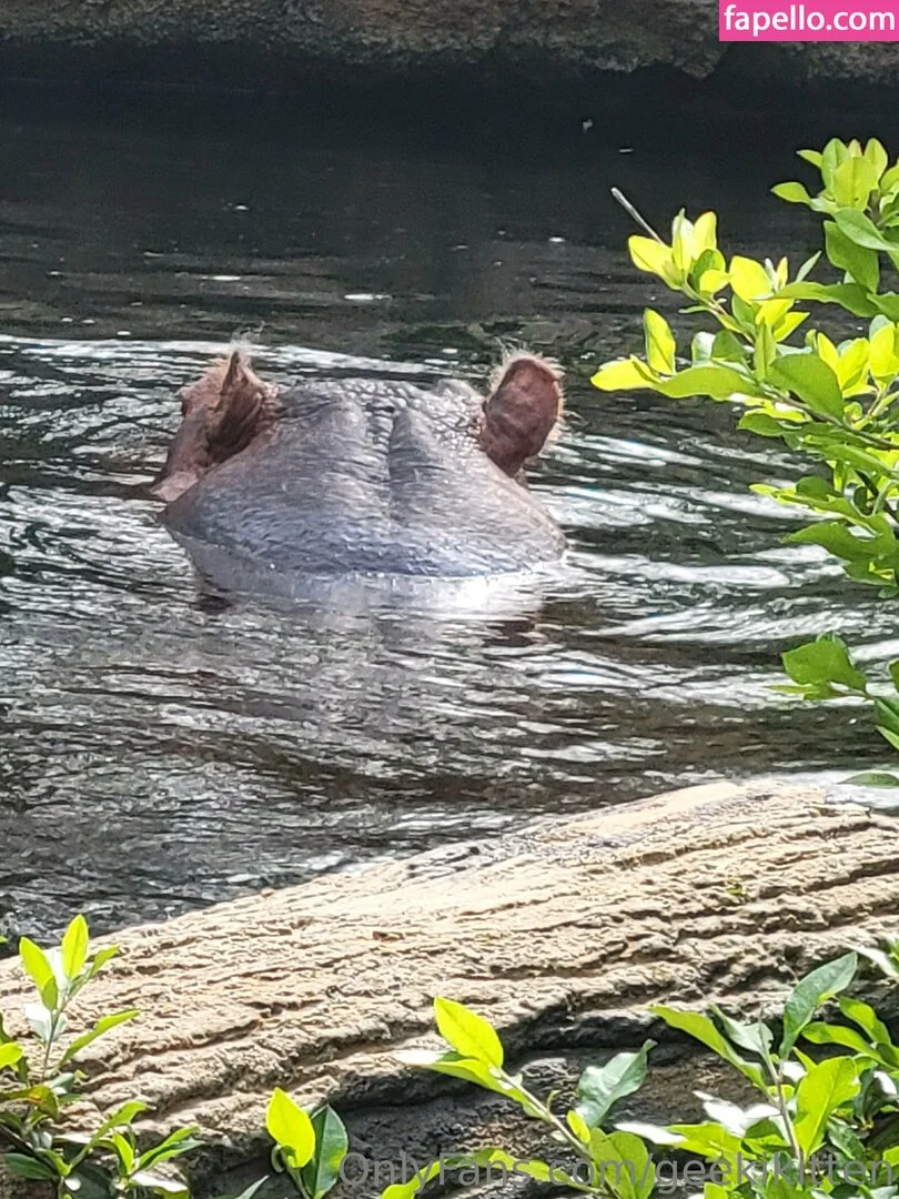 geekikitten Onlyfans Photo Gallery 