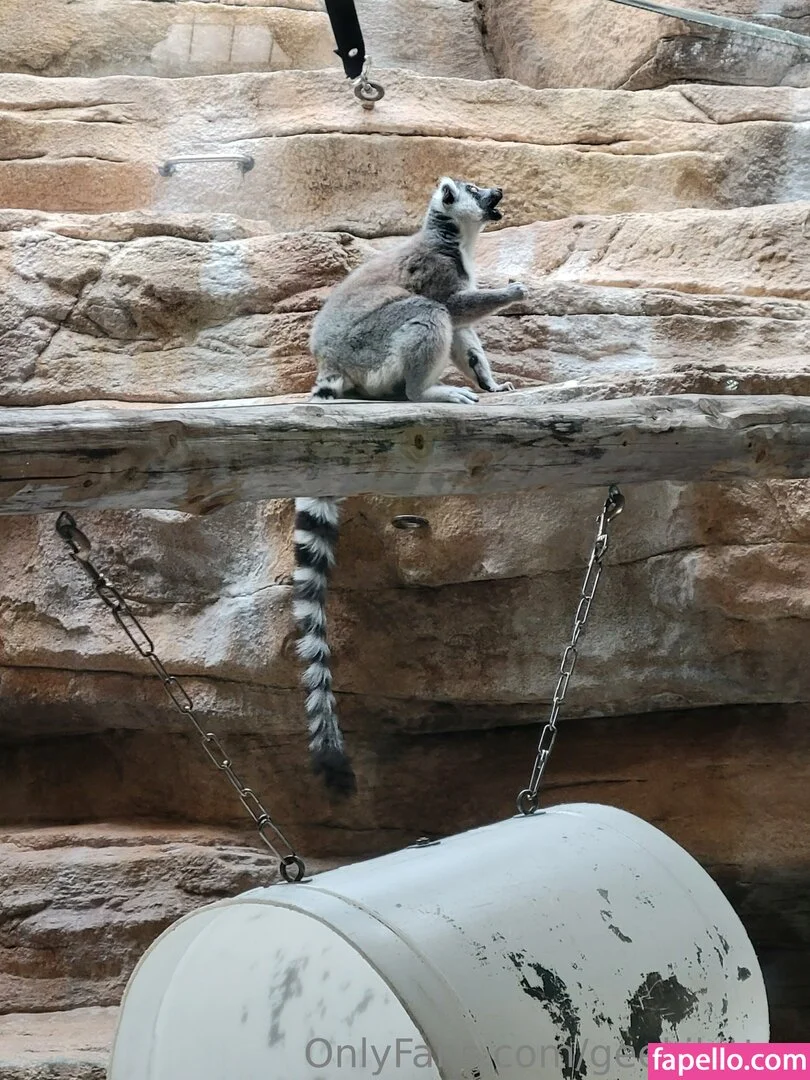 geekikitten Onlyfans Photo Gallery 