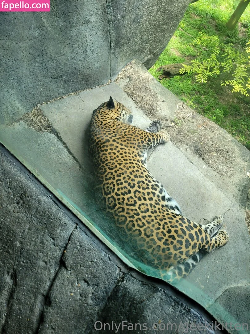 geekikitten Onlyfans Photo Gallery 