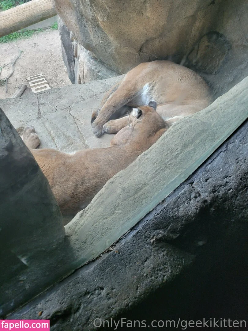 geekikitten Onlyfans Photo Gallery 