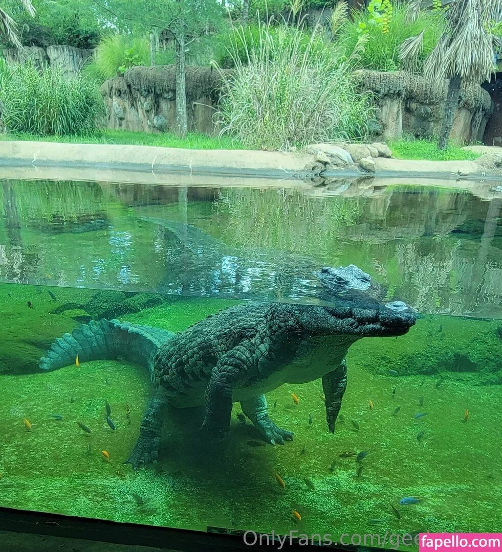 geekikitten Onlyfans Photo Gallery 