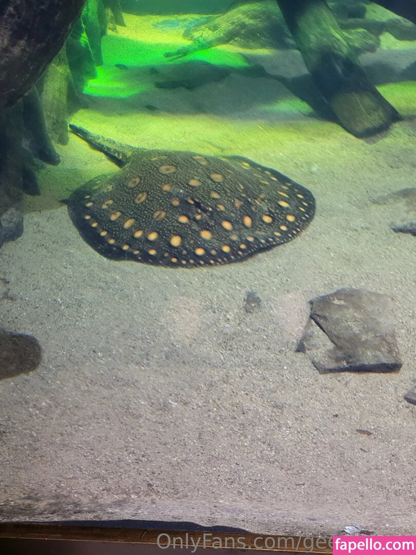 geekikitten Onlyfans Photo Gallery 