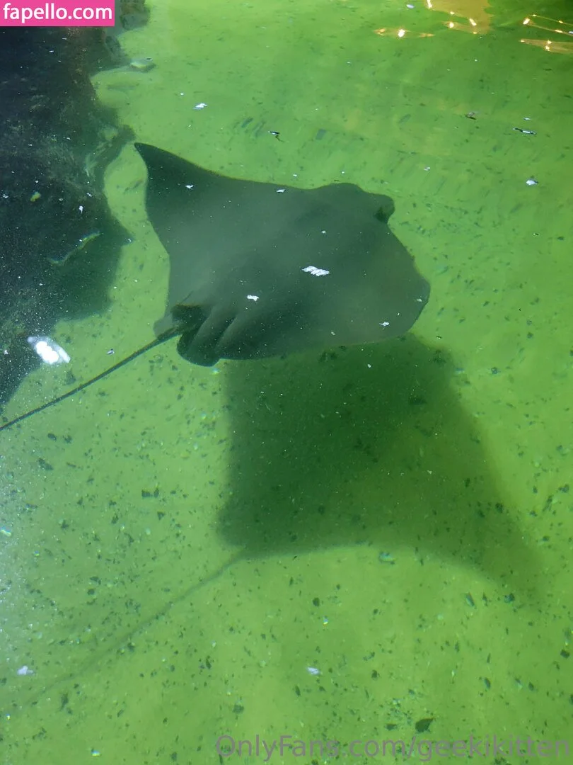 geekikitten Onlyfans Photo Gallery 