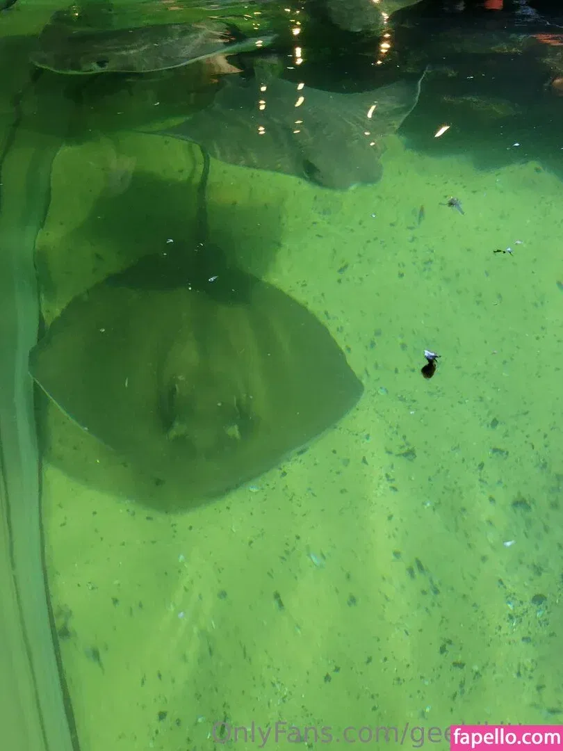 geekikitten Onlyfans Photo Gallery 