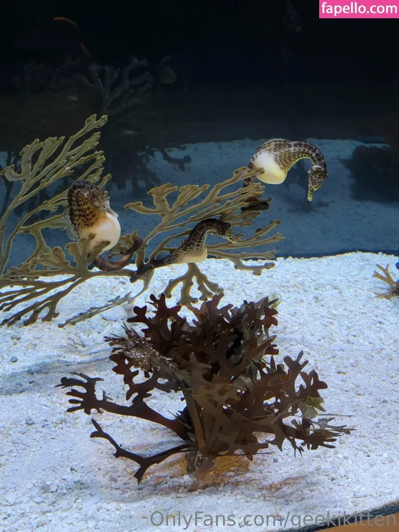 geekikitten Onlyfans Photo Gallery 