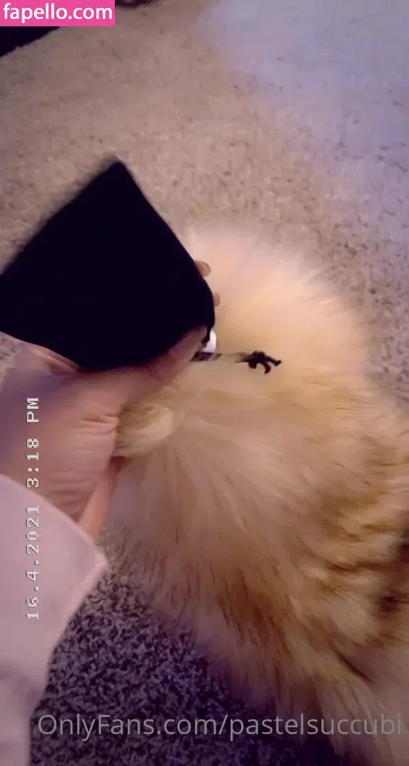 mujerfatal Onlyfans Photo Gallery 