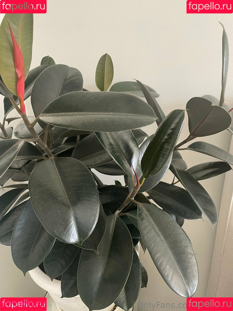 izzybutt Onlyfans Photo Gallery 