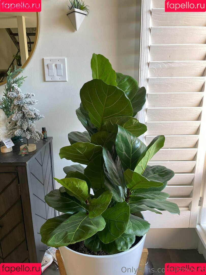 izzybutt Onlyfans Photo Gallery 