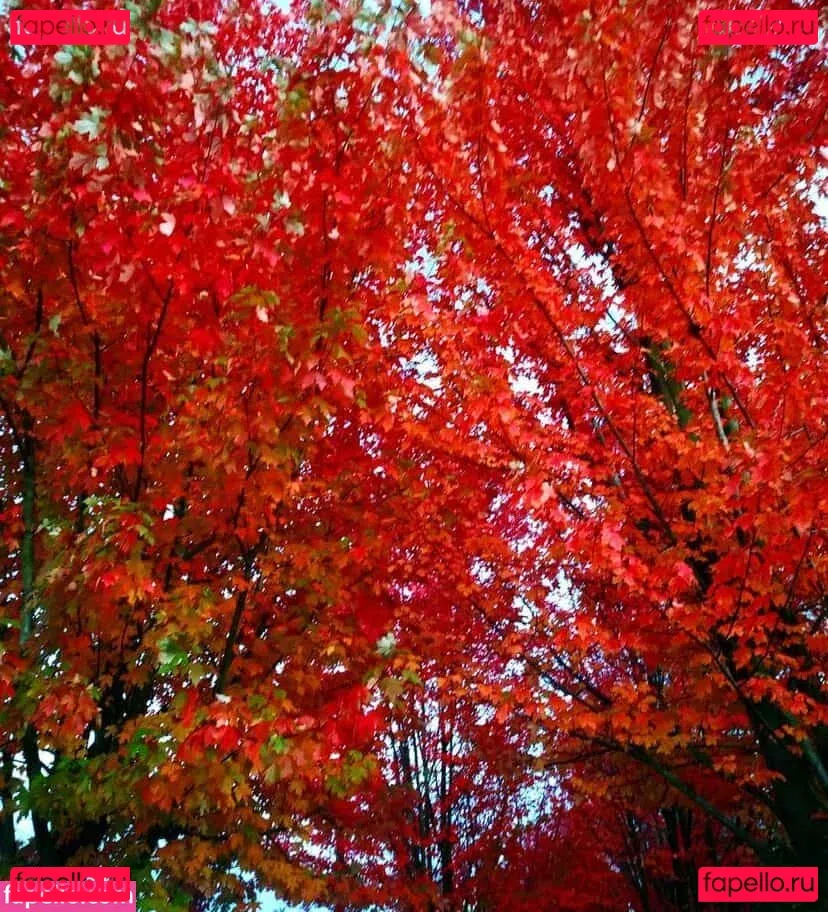 Cadence Caliber Onlyfans Photo Gallery 