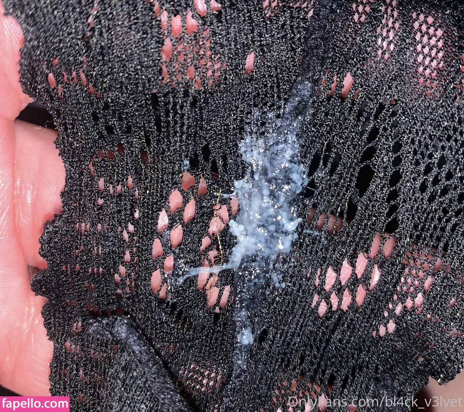 bl4ck_v3lvet Onlyfans Photo Gallery 