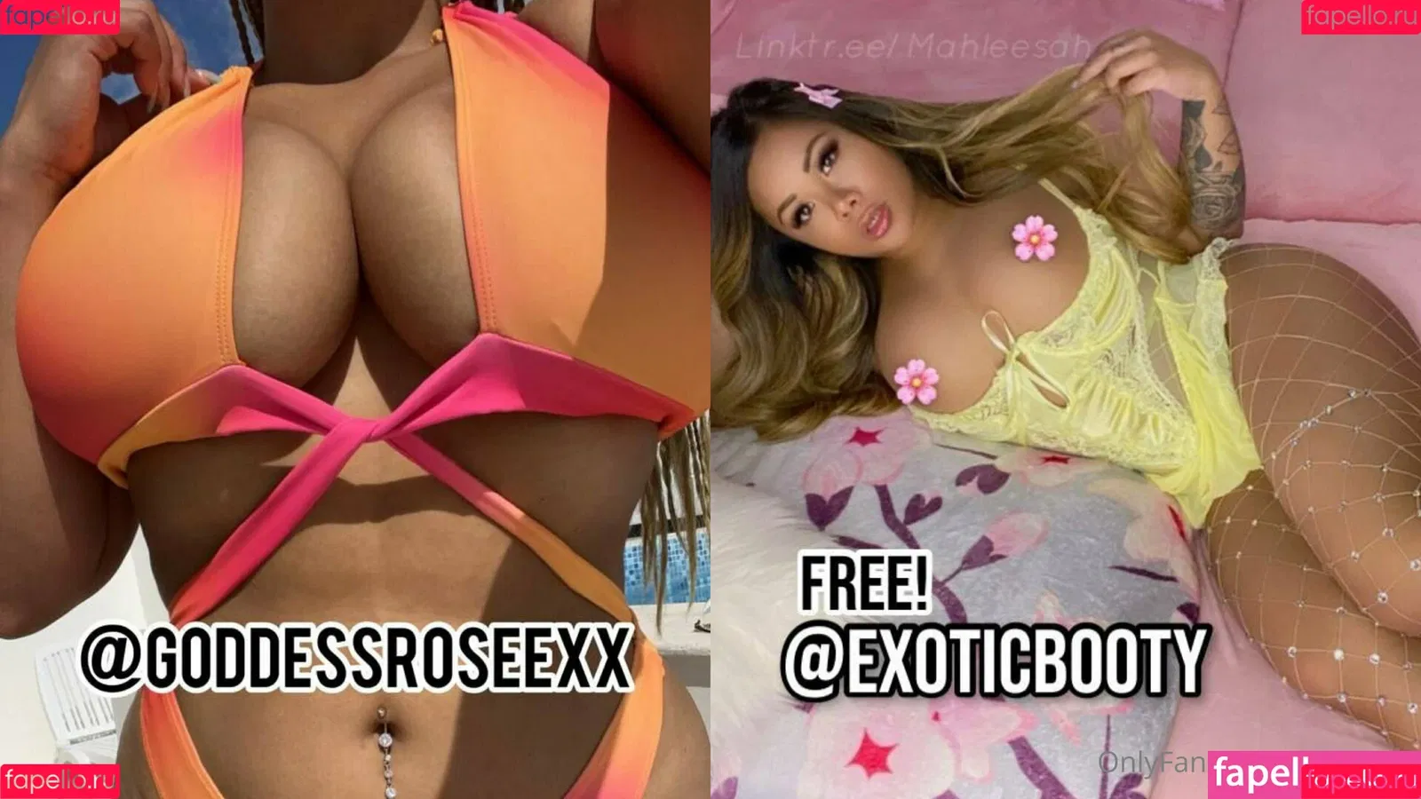 numera1 Onlyfans Photo Gallery 