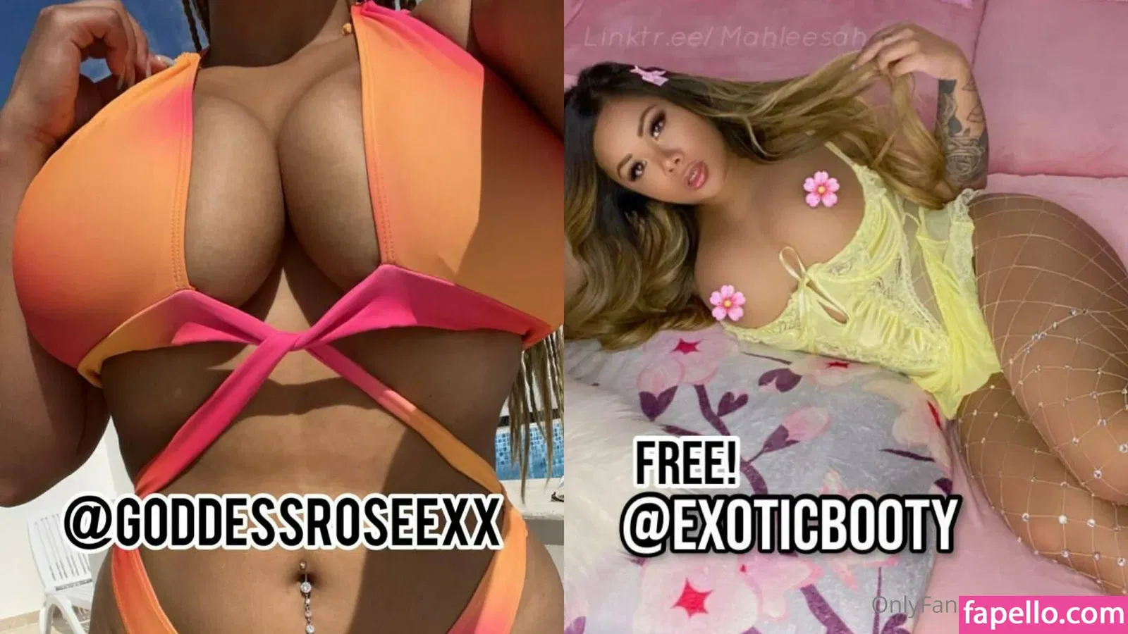 numera1 Onlyfans Photo Gallery 