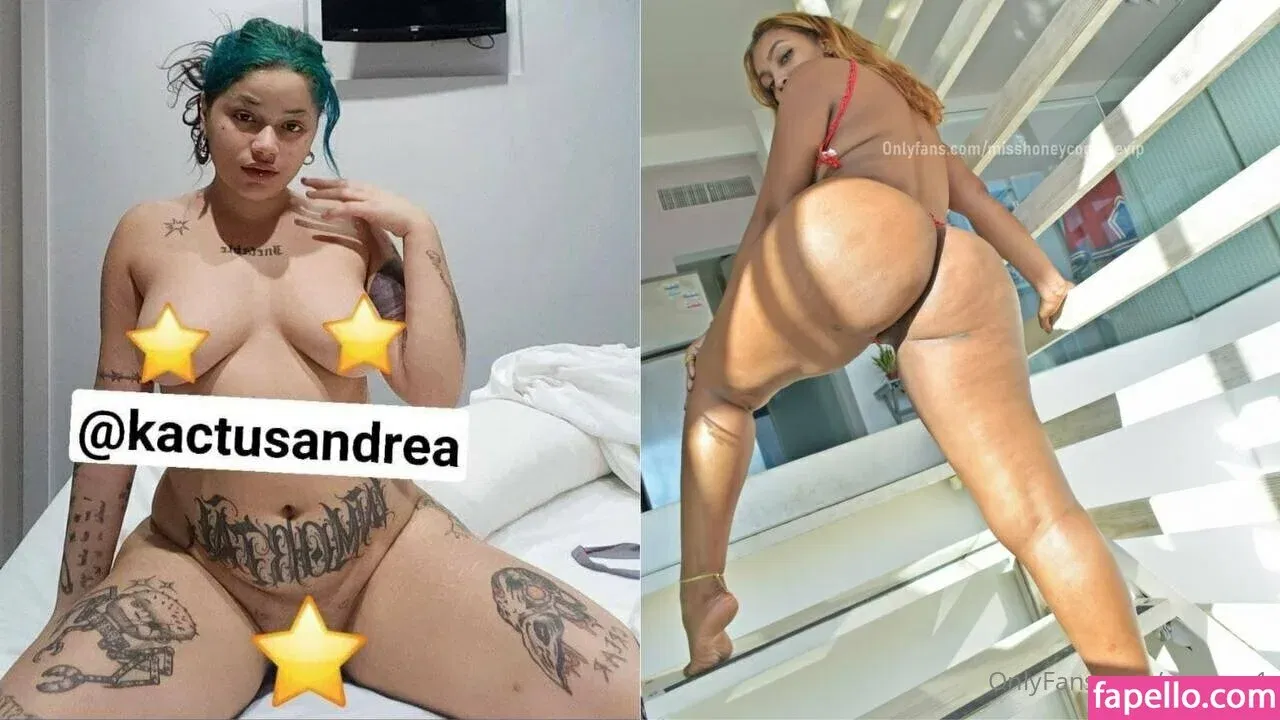 numera1 Onlyfans Photo Gallery 