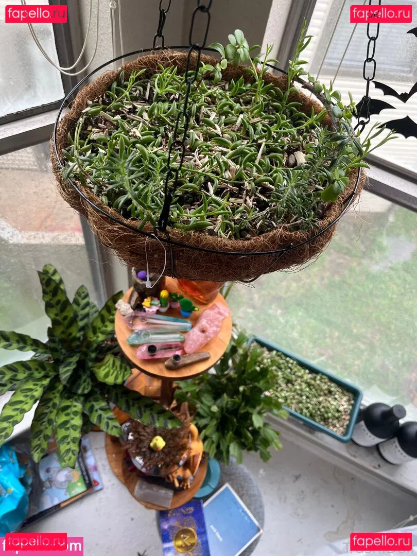 TrashDoll Onlyfans Photo Gallery 