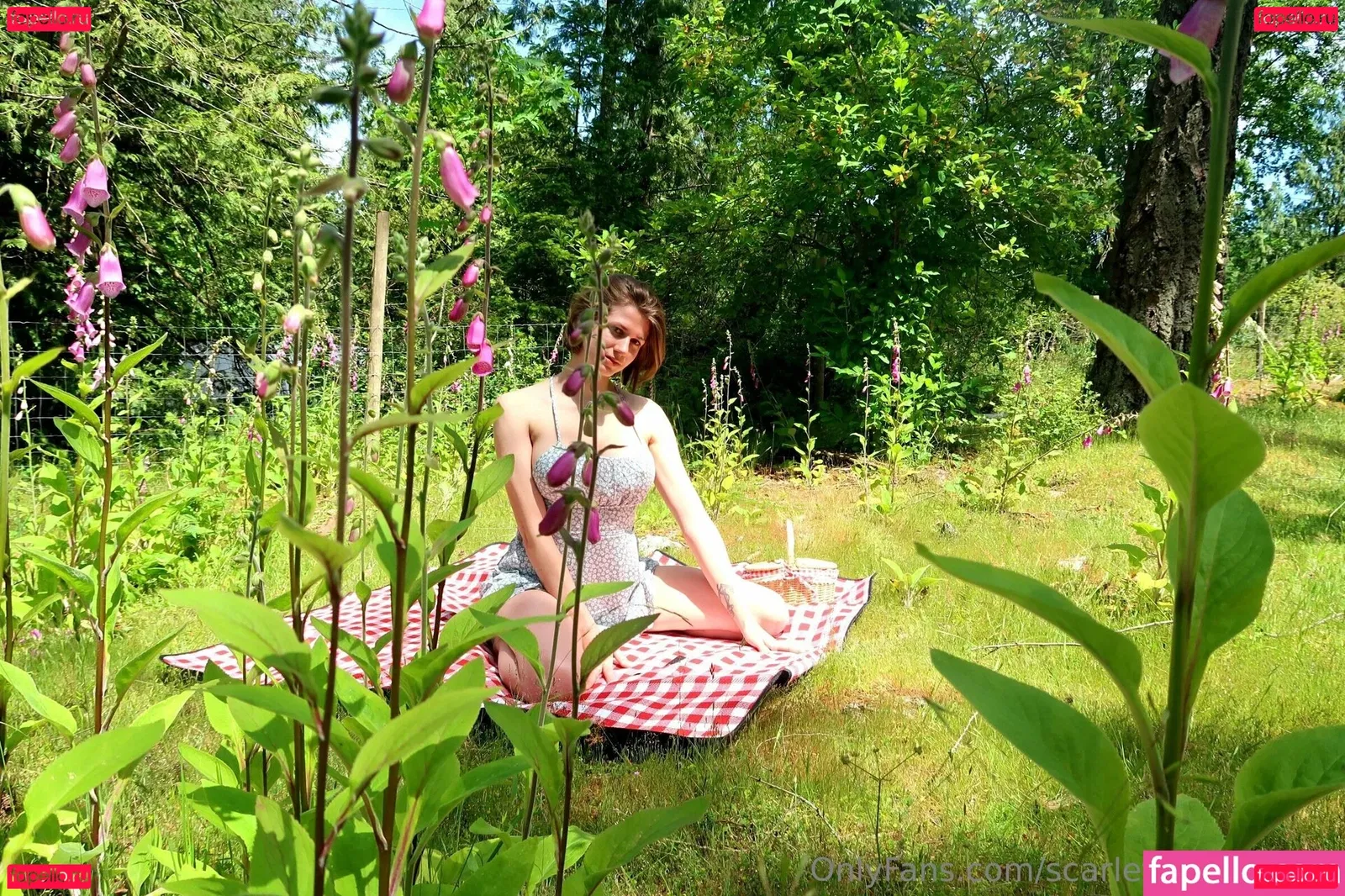 ScarlettJane92 Onlyfans Photo Gallery 