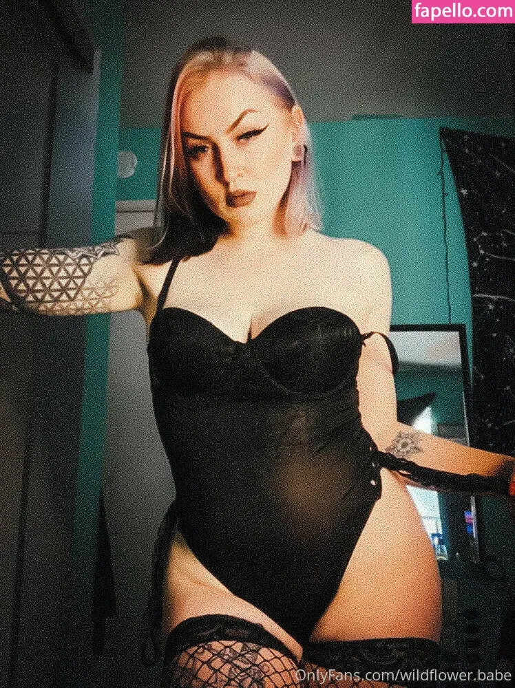 wildflower.babe Onlyfans Photo Gallery 