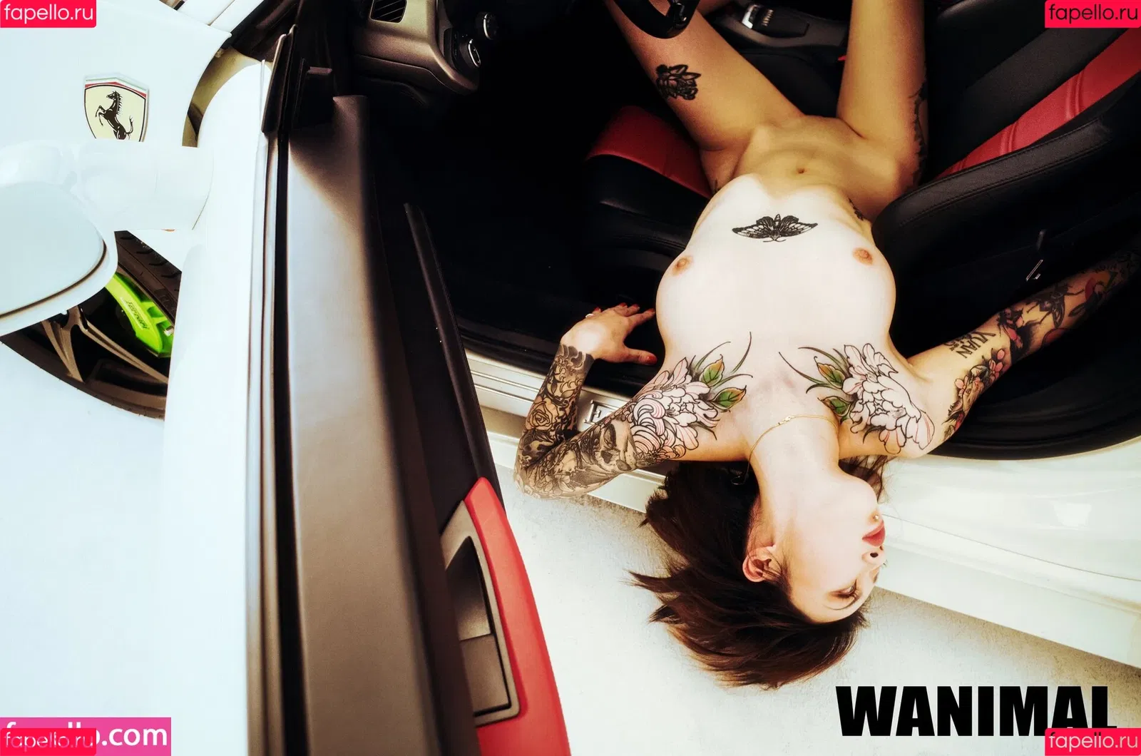Wanimal Models Onlyfans Photo Gallery 