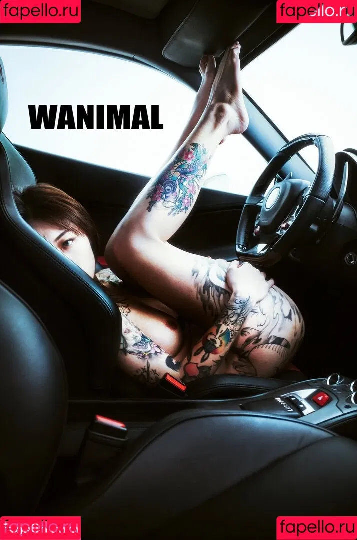 Wanimal Models Onlyfans Photo Gallery 