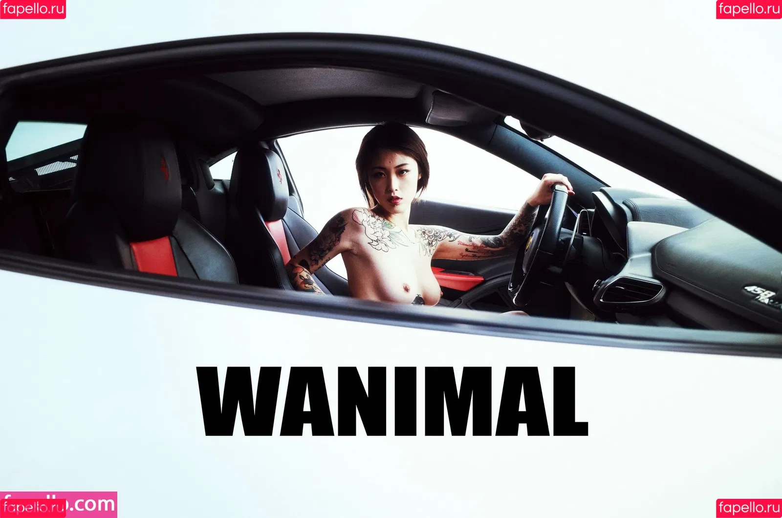 Wanimal Models Onlyfans Photo Gallery 