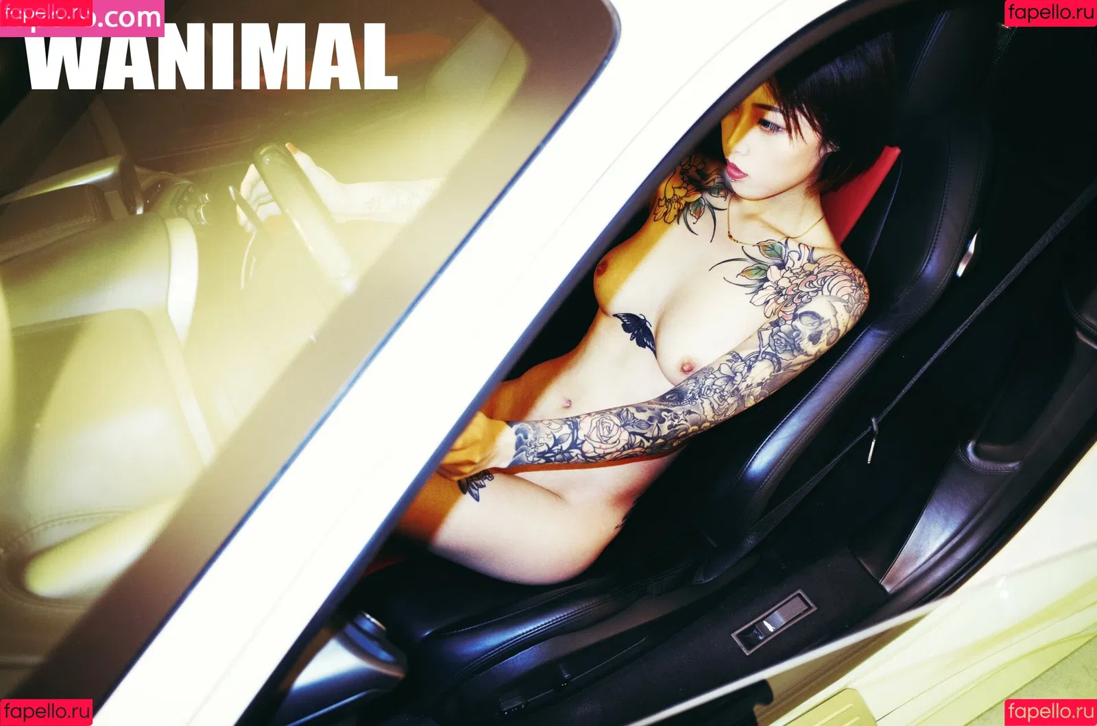 Wanimal Models Onlyfans Photo Gallery 