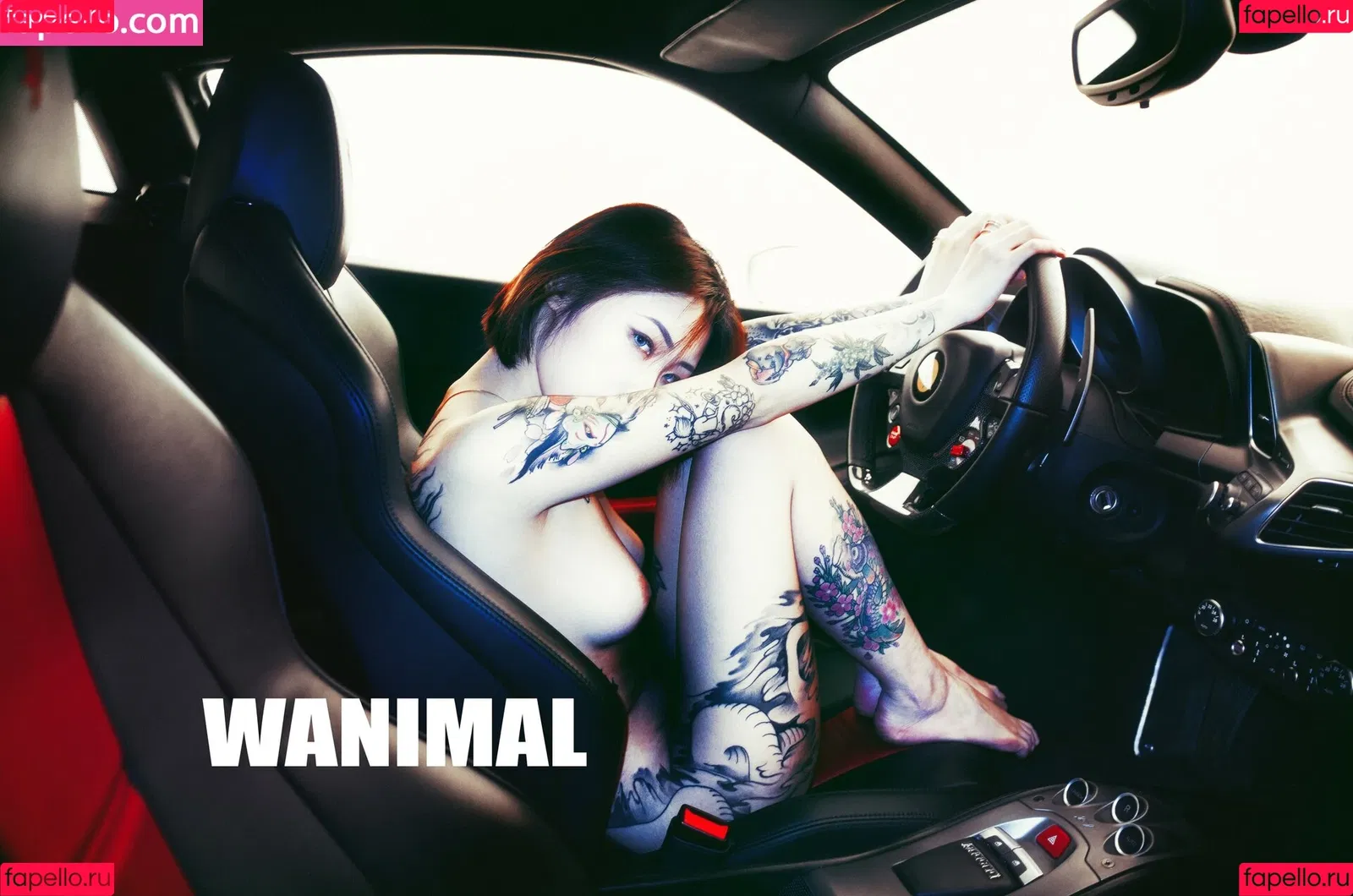 Wanimal Models Onlyfans Photo Gallery 