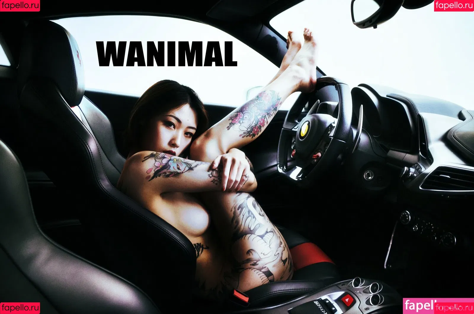 Wanimal Models Onlyfans Photo Gallery 