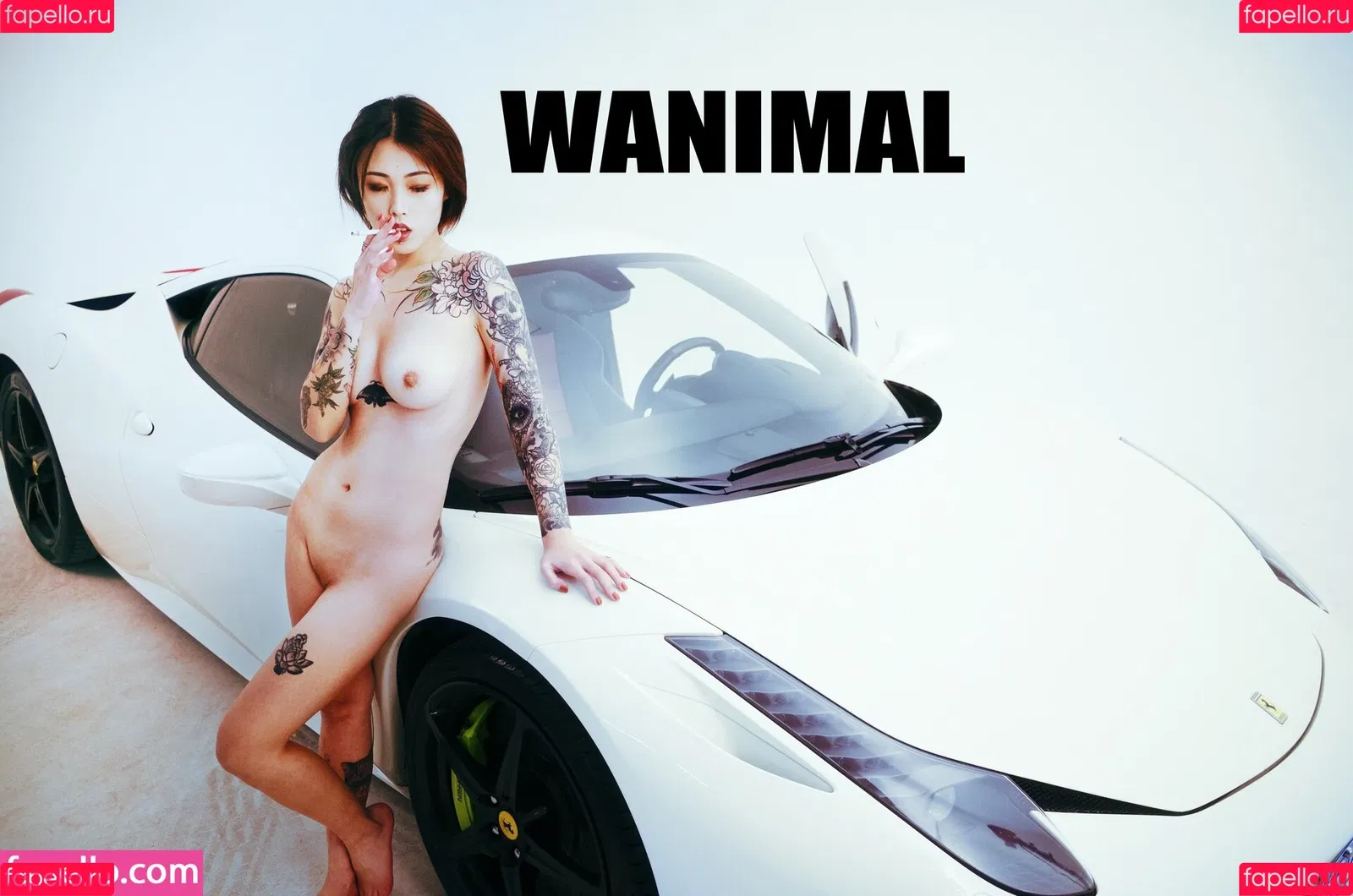Wanimal Models Onlyfans Photo Gallery 