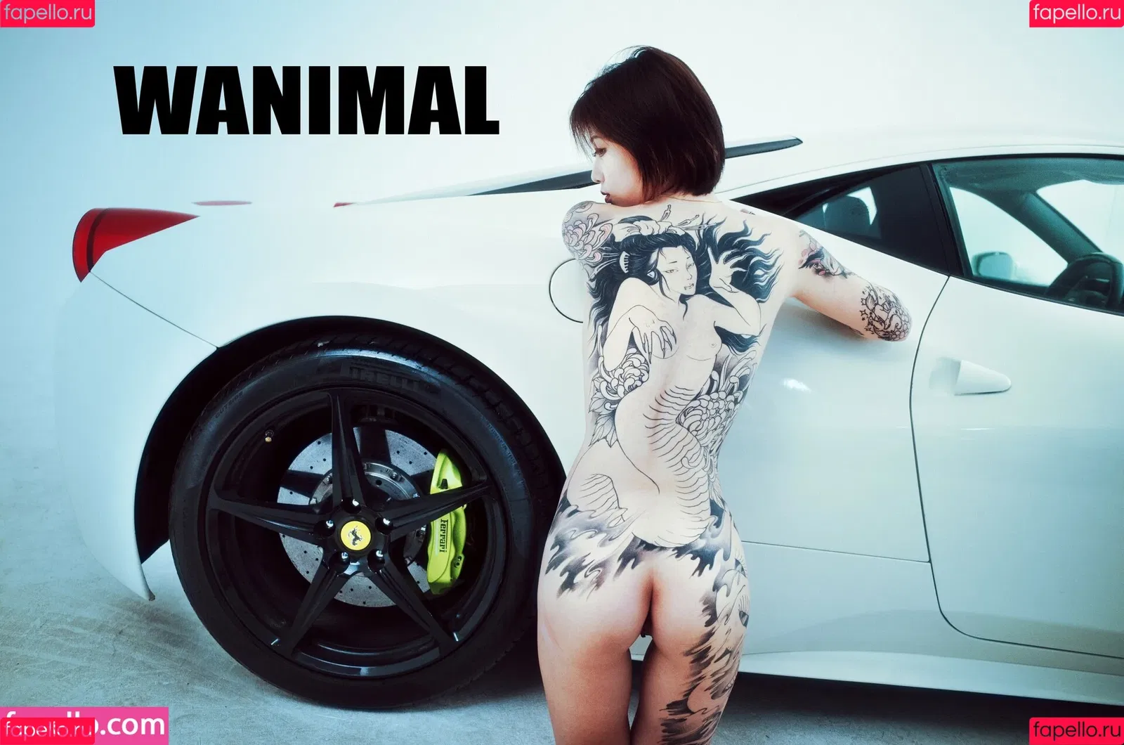 Wanimal Models Onlyfans Photo Gallery 
