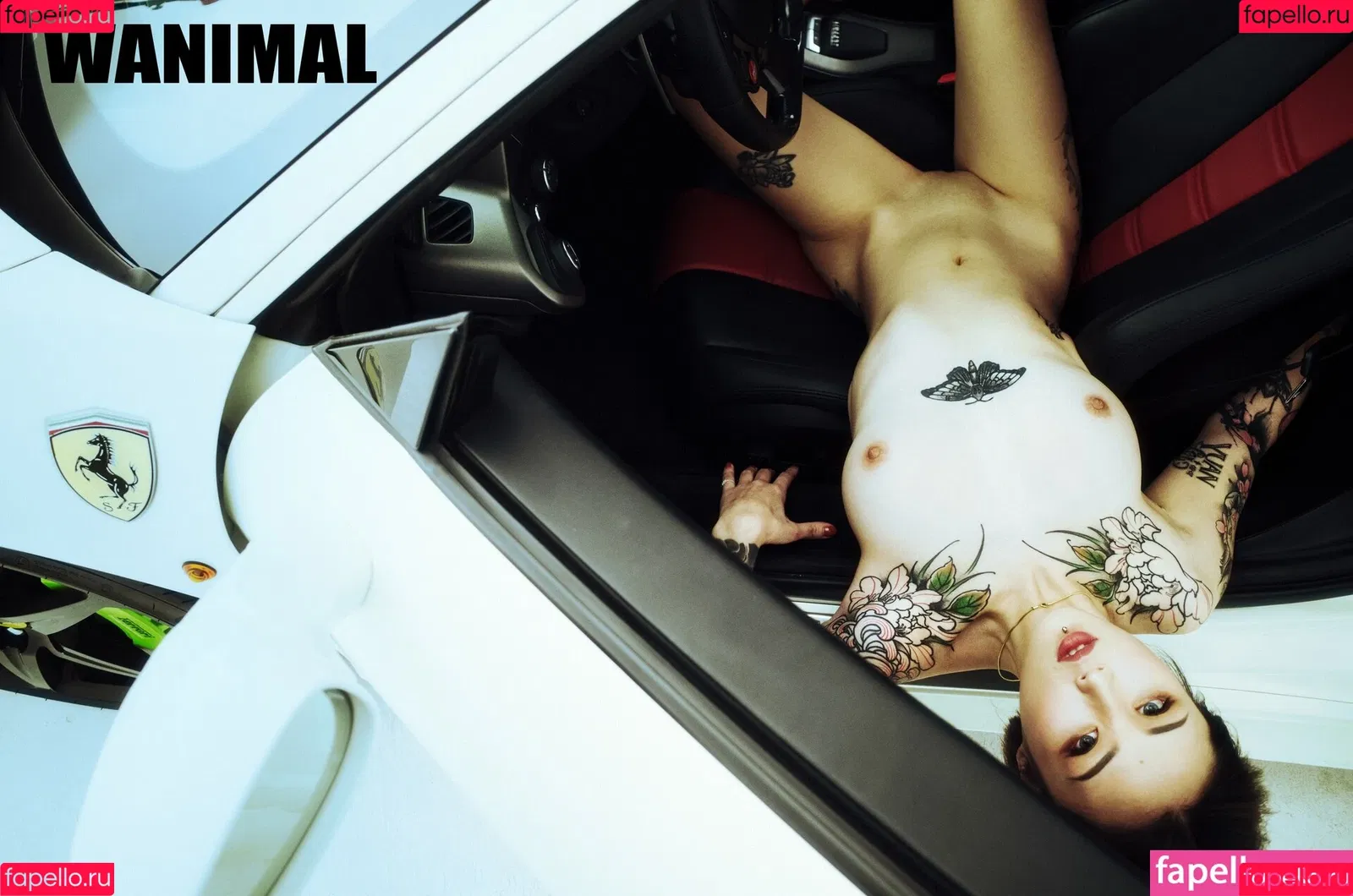 Wanimal Models Onlyfans Photo Gallery 