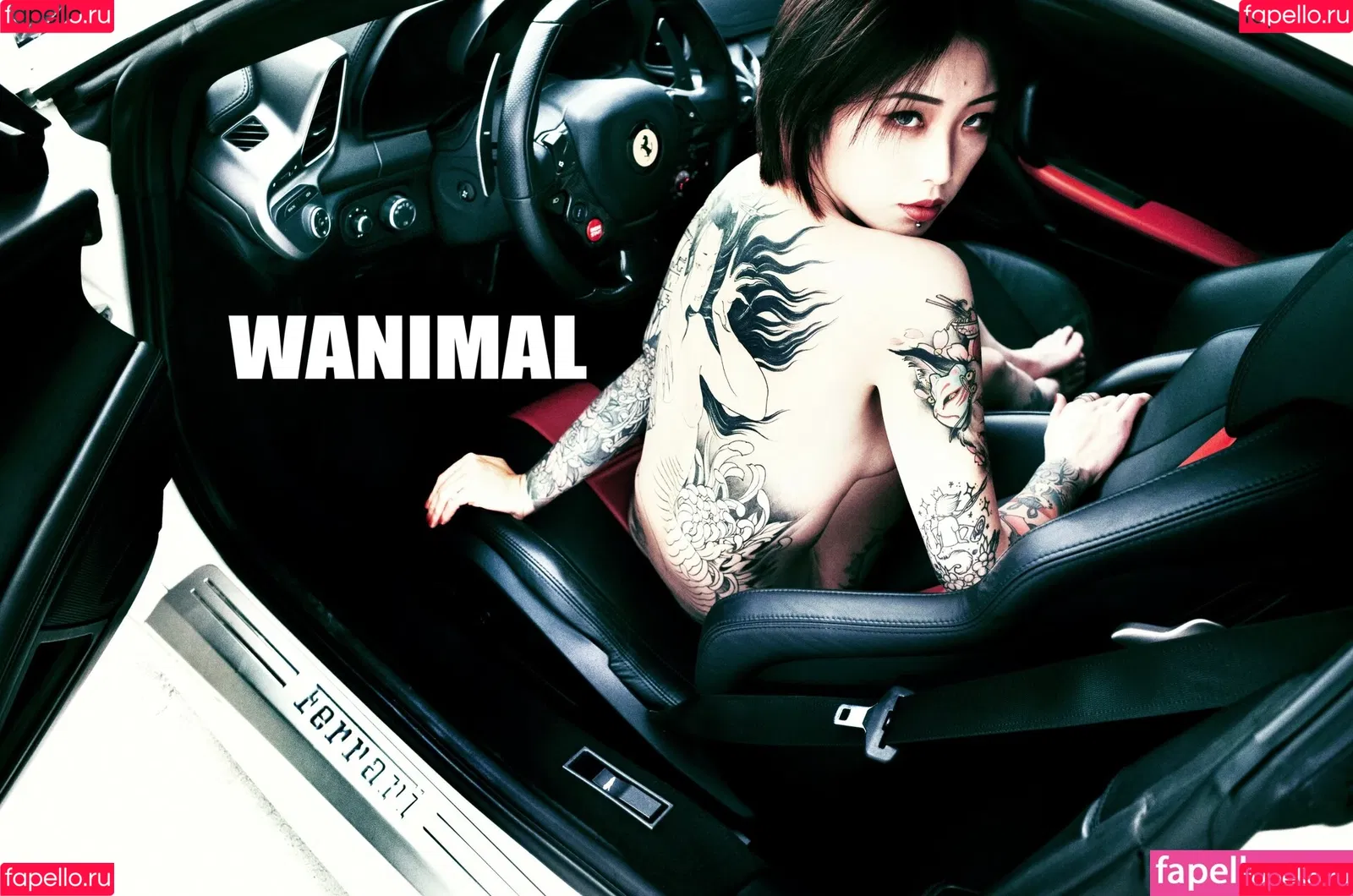 Wanimal Models Onlyfans Photo Gallery 