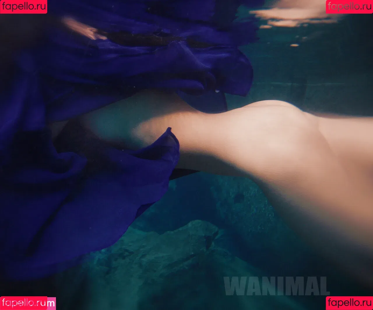 Wanimal Models Onlyfans Photo Gallery 