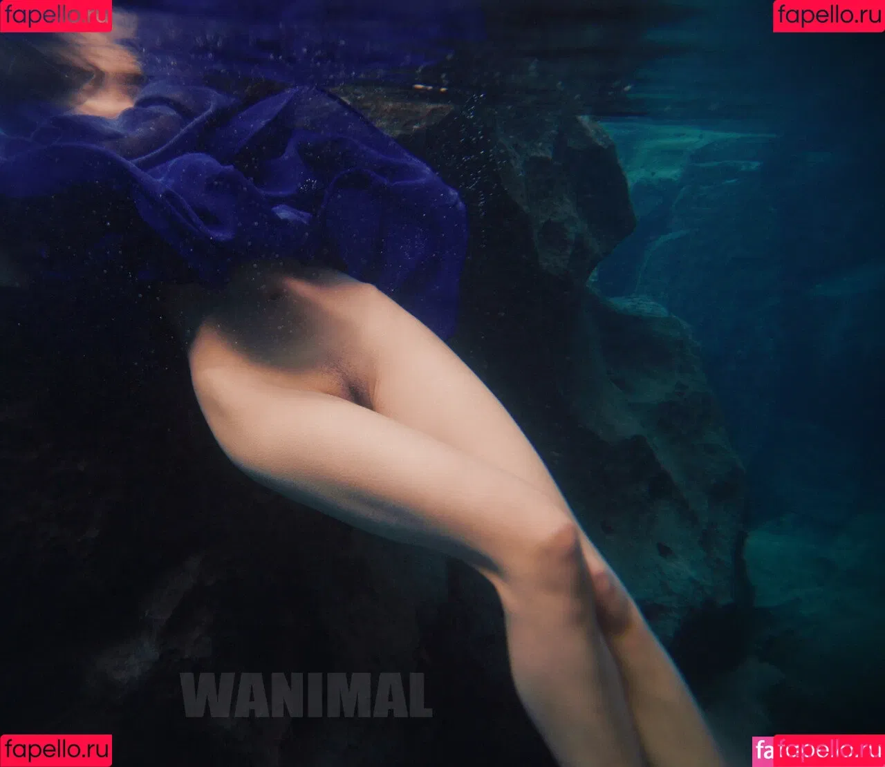 Wanimal Models Onlyfans Photo Gallery 