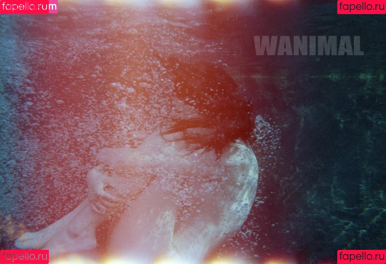 Wanimal Models Onlyfans Photo Gallery 