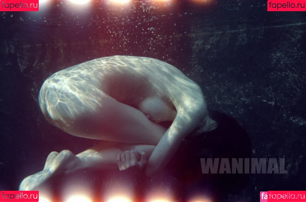Wanimal Models Onlyfans Photo Gallery 