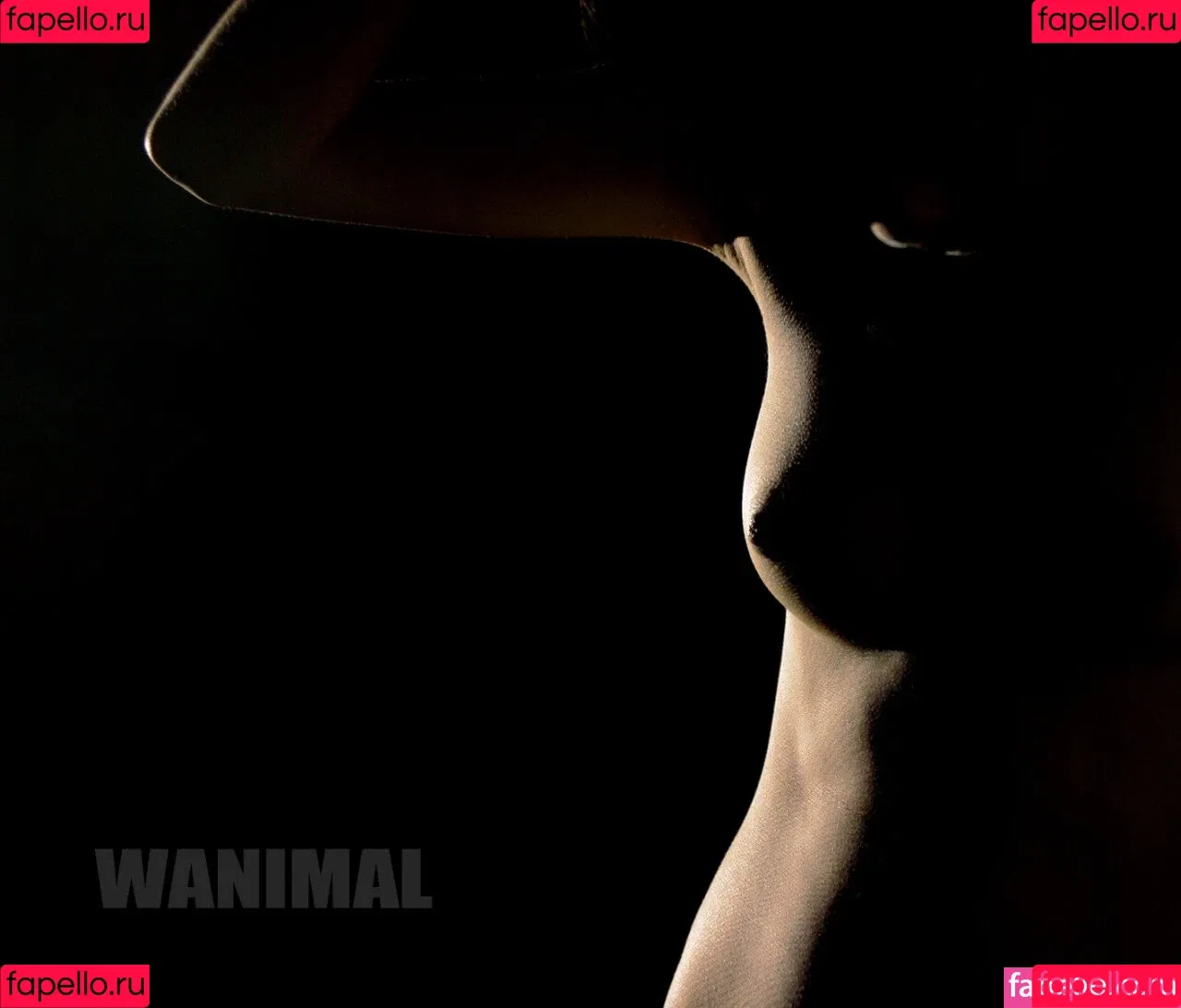 Wanimal Models Onlyfans Photo Gallery 