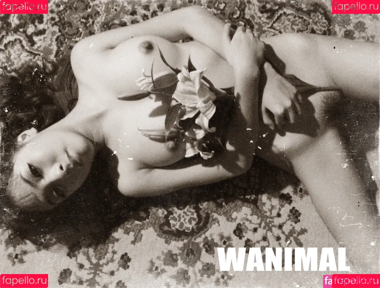 Wanimal Models Onlyfans Photo Gallery 